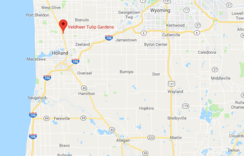 Map showing the location of Veldheer Tulip Gardens near Holland, Michigan, with nearby towns and highways marked.