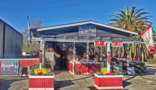 A colorful farm stand with festive decorations, palm trees, and signs for fresh produce and holiday items.