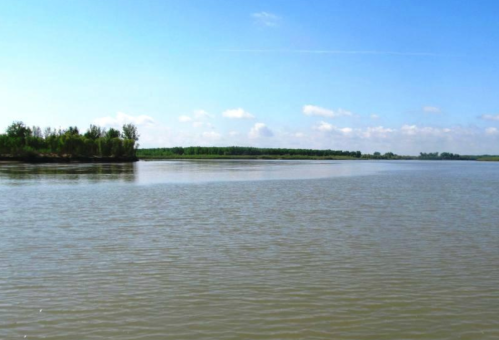 A calm river flows under a clear blue sky, bordered by lush green trees on the banks.