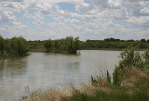 A calm river surrounded by greenery and trees under a partly cloudy sky.