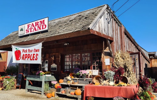 A rustic farm stand with a "Pick Your Own Apples" sign, surrounded by pumpkins and colorful flowers.