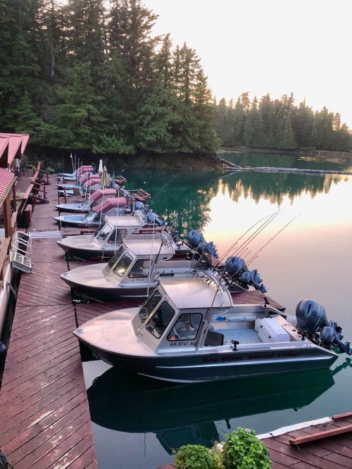 A row of fishing boats docked at a serene waterfront surrounded by trees at sunrise.