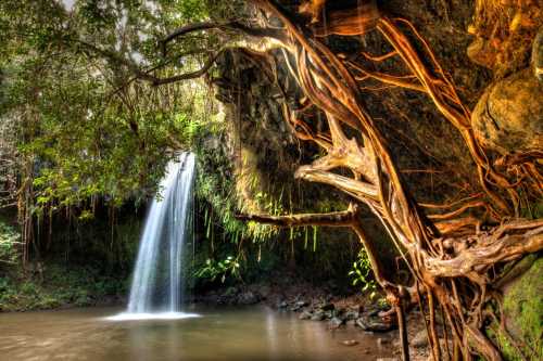 A serene waterfall cascades into a tranquil pool, surrounded by lush greenery and twisting tree roots.