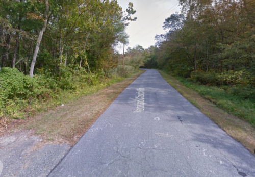 A narrow, tree-lined road with overgrown grass on the sides, surrounded by dense foliage.