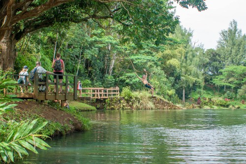 A serene landscape with a river, people on a wooden bridge, and someone swinging from a tree near the water.