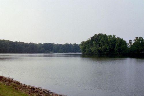 A calm lake surrounded by lush green trees under a hazy sky, with a rocky shoreline in the foreground.