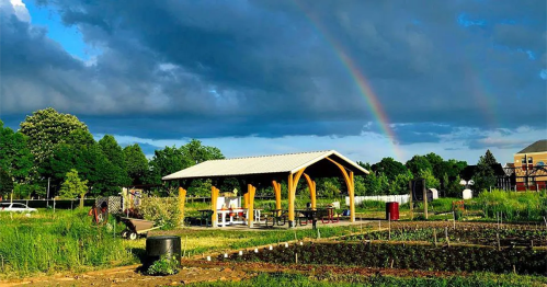 A community garden with a shelter, surrounded by greenery and a rainbow in the sky above.