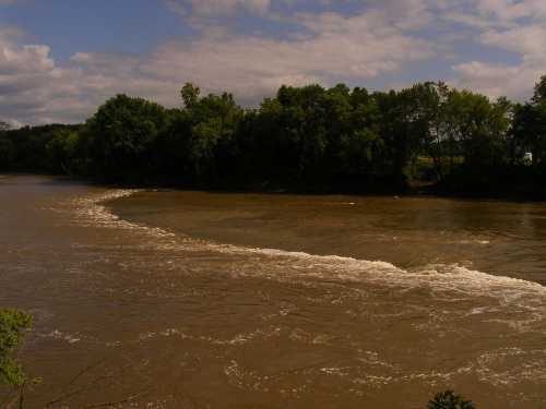 A river with muddy water flows gently, surrounded by lush green trees under a partly cloudy sky.