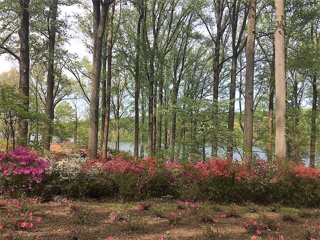 Brighton Dam In Brookeville, Maryland Has A Secret Garden Hike, image size:1024x768