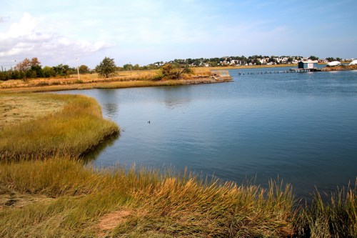 A serene view of a calm waterway bordered by grassy banks, with a distant shoreline and blue sky.
