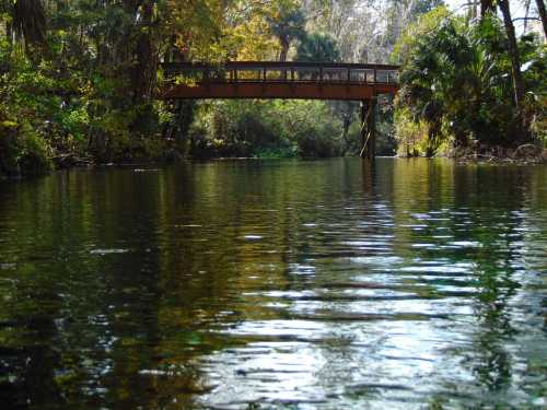 A serene river scene with a wooden bridge surrounded by lush greenery and reflections on the water's surface.