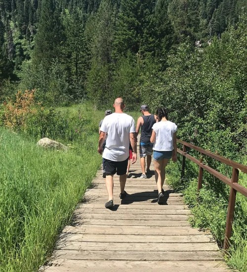 A group of people walking on a wooden path through a lush green forest.