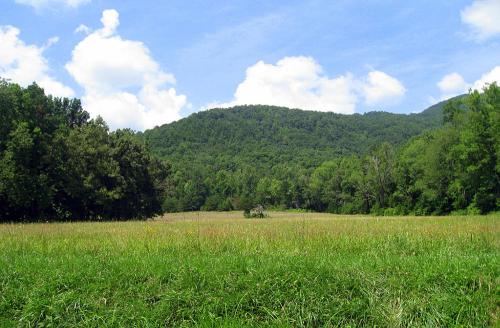 A lush green field surrounded by trees and rolling hills under a blue sky with fluffy white clouds.