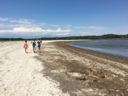 Three people walking along a sandy beach with a calm water shoreline and blue sky in the background.