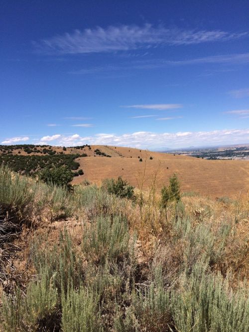 A scenic view of rolling hills with sparse vegetation under a clear blue sky and scattered clouds.