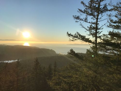 Sunrise over a misty landscape, with trees in the foreground and a shimmering body of water in the distance.