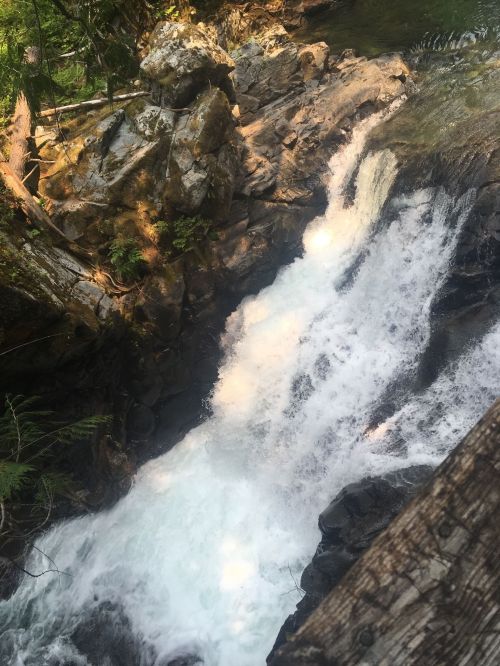 A cascading waterfall flows over rocky terrain, surrounded by lush greenery and sunlight filtering through the trees.