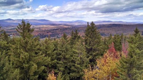 A panoramic view of a forested landscape with mountains in the distance, showcasing autumn foliage under a cloudy sky.