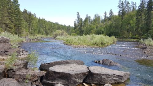 A serene river flows through a lush green landscape, surrounded by trees and rocky banks under a clear blue sky.