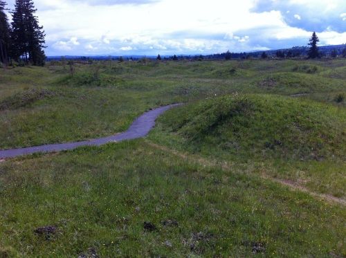 A winding path through a grassy landscape with gentle hills and a cloudy sky in the background.