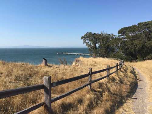 A scenic view of a coastal path with a wooden fence, leading to a pier over calm waters and grassy hills.