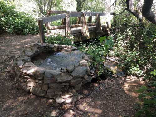 A stone circular pool with water, beside a wooden bridge in a lush, green forested area.