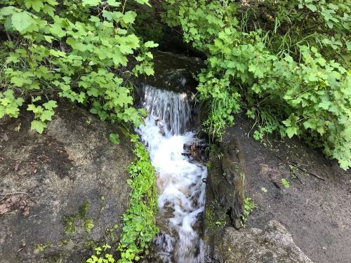 A small stream flows over rocks, surrounded by lush green foliage and plants.
