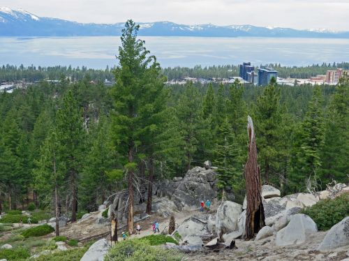 A scenic view of Lake Tahoe with hikers among tall pine trees and rocky terrain, overlooking the water and distant mountains.