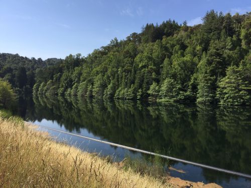 A serene river reflects lush green trees under a clear blue sky, bordered by tall grass on the bank.