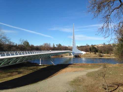 A modern white suspension bridge spans a river, surrounded by trees and a clear blue sky.