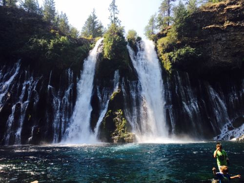 A scenic waterfall cascades into a clear blue pool, surrounded by lush greenery and tall trees.