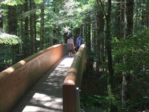 Two people walk on a wooden bridge through a lush green forest, surrounded by tall trees and sunlight filtering through leaves.