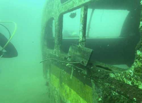 A diver explores a submerged, rusted airplane wreck in murky water, with algae and marine life visible on the surface.