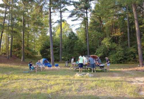 A group of people setting up tents and preparing food at a campsite surrounded by tall trees and greenery.