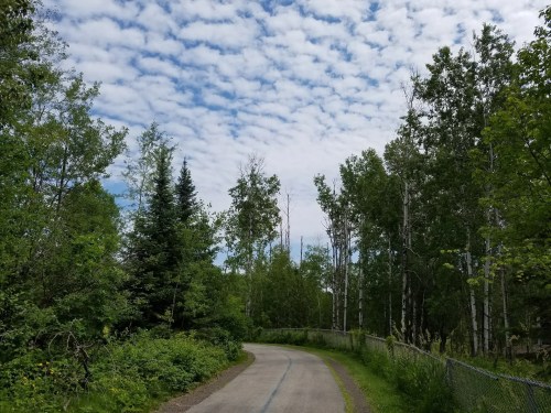 A winding path through lush greenery under a cloudy sky, surrounded by tall trees and a fence.