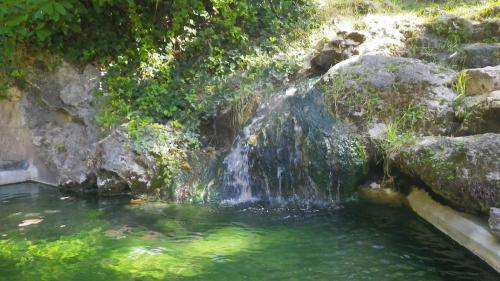 A serene waterfall cascading over rocks into a clear, green pool surrounded by lush greenery.