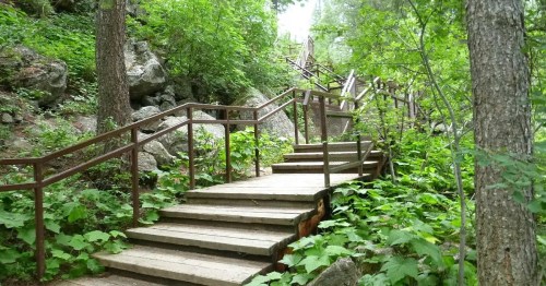 A wooden staircase winds through lush greenery and rocky terrain, surrounded by trees and foliage.