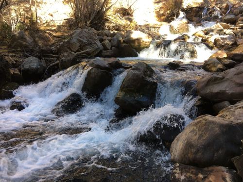 A serene stream flows over rocks, creating gentle cascades in a natural setting surrounded by trees.