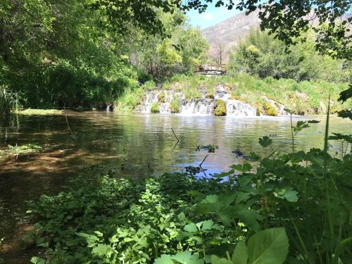 A serene landscape featuring a calm pond with a small waterfall, surrounded by lush greenery and trees.