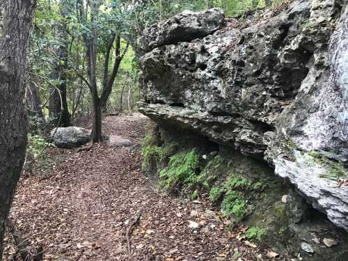 A narrow dirt path winds through a forest, flanked by large, moss-covered rocks and trees.