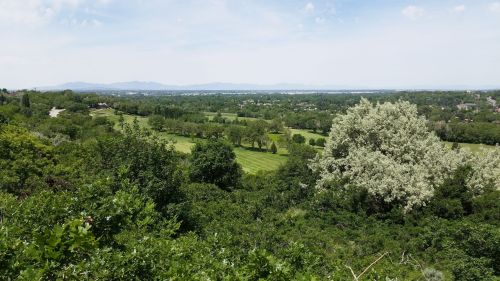 A panoramic view of lush green fields and trees under a clear blue sky, with distant mountains on the horizon.