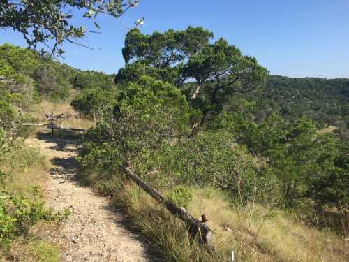 A winding dirt path through a lush green landscape with trees and hills under a clear blue sky.