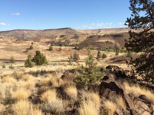 A scenic landscape featuring rolling hills, sparse vegetation, and a clear blue sky.