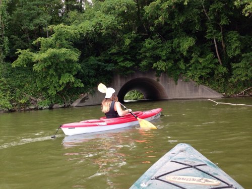 A person in a red kayak paddles toward a tunnel surrounded by lush greenery on a calm river.