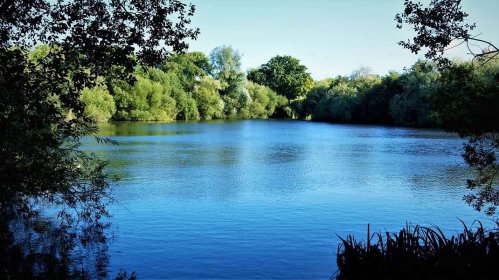 A serene lake surrounded by lush greenery under a clear blue sky.