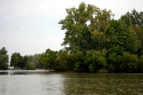A serene river scene with lush green trees lining the banks under a cloudy sky.