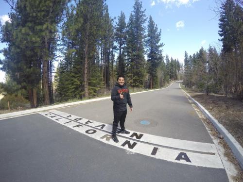 A person stands on a road with "California" painted on it, surrounded by tall pine trees and a clear blue sky.