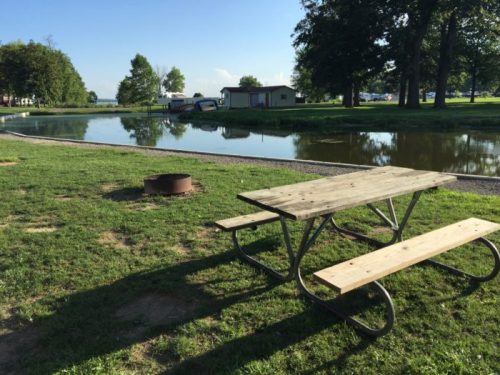 A picnic table by a calm pond, surrounded by green grass and trees, with a few buildings in the background.