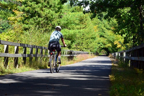 A person riding a bicycle on a tree-lined path with a wooden fence on a sunny day.