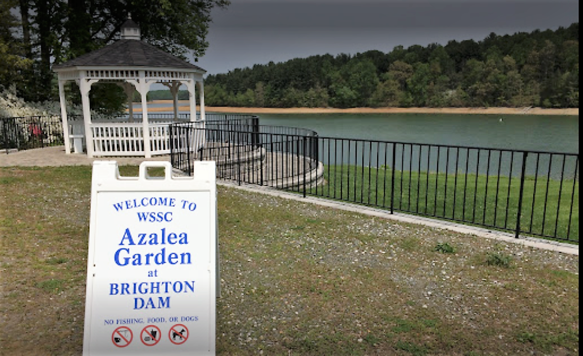 Brookside Gardens Is Enchanting Year Round With or Without Kids, image size:1187x725